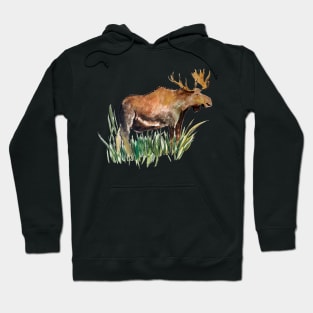 Bull Moose Watercolor Sketch Hoodie